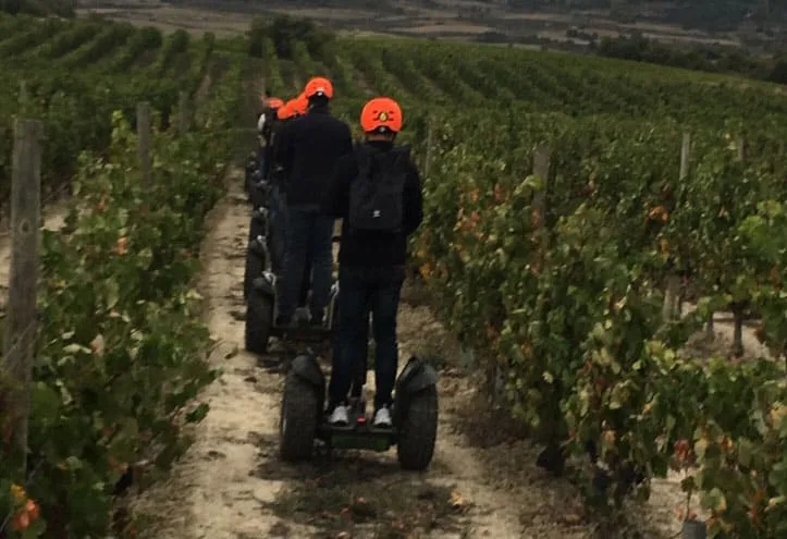 enoturismo segway