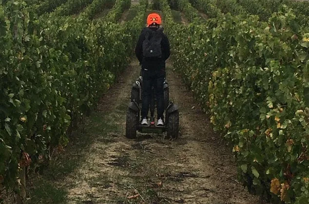 enoturismo segway